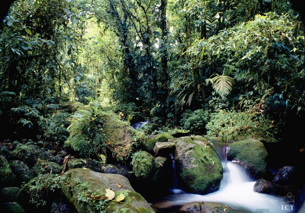 Tortuguero National Park - Panama 